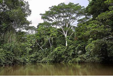 《天国：拯救2》战斗更容易上手 官方解释为何继续用CE引擎